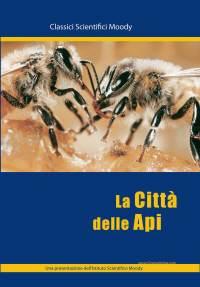 La città delle api