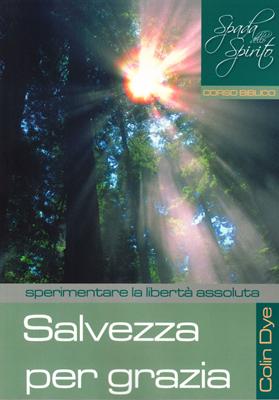 Salvezza per grazia - Studio n°11 (Brossura)