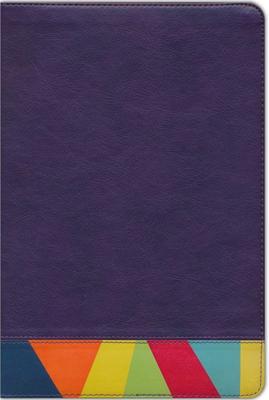 RVR60 Biblia de Estudio Arcoiris (Imitación Piel)