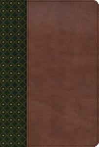 RVR60 Biblia de Estudio Scofield (Imitación Piel) [Biblia de Estudio]