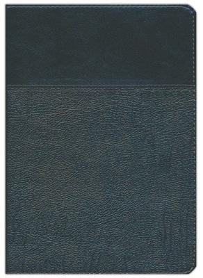 RVR60 Biblia Estudio Ryrie con Índice (Imitación Piel) [Biblia de Estudio]