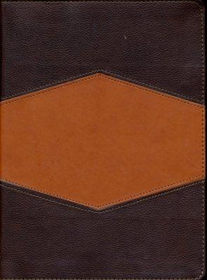 RVR60 Biblia de Estudio Holman (Imitación Piel) [Biblia de Estudio]
