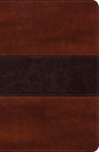 Biblia Peshitta (Imitación Piel) [Biblia]