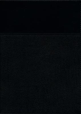 RVR60 Biblia de Estudio Ryrie Ampliada (Imitación Piel) [Biblia de Estudio]