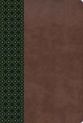 RVR60 Biblia de Estudio Scofield con Índice (Imitación Piel) [Biblia de Estudio]