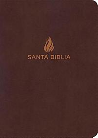 Biblia RVR60 Compacta Letra Grande