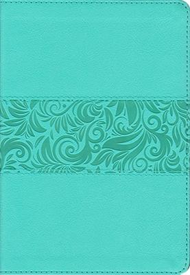 RVR60 Biblia Regalos y Premios (Imitación Piel) [Biblia]
