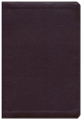 RVR60 Arcoiris con Índice (Imitación Piel) [Biblia de Estudio]