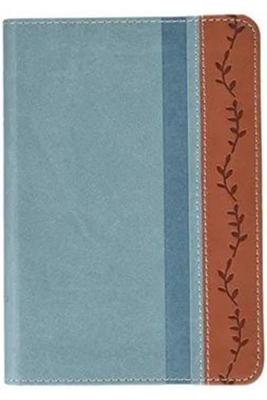 RVR60 Biblia de Promesas Compacta Tamaño Bolsillo con Cierre e Índice (Imitación Piel) [Biblia]