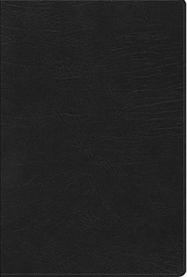 RVR60 Biblia de Referencia Thompson (Imitación Piel) [Biblia]
