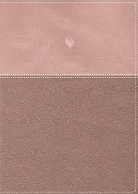 RVR 1960 Biblia de Estudio Vida Plena (LETRA GRANDE, TAPA DURA)