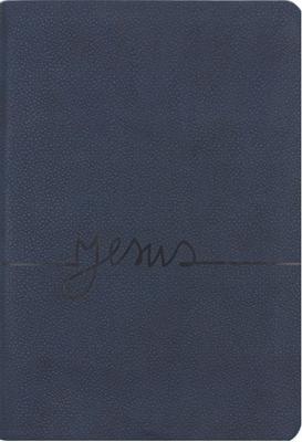 Bible portugais gros caracteres souple