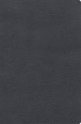 RVR 1960 Biblia de Estudio Letra Gigante (Símil piel, Negro)
