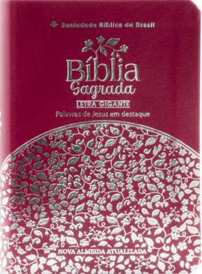 Bíblia Sagrada NAA com letra gigante e palavras de Jesus em vermelho