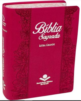 Bíblia Sagrada NAA Letra Grande