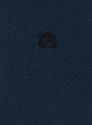 Bible d'étude de la foi réformée
