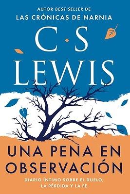 Una pena en observación