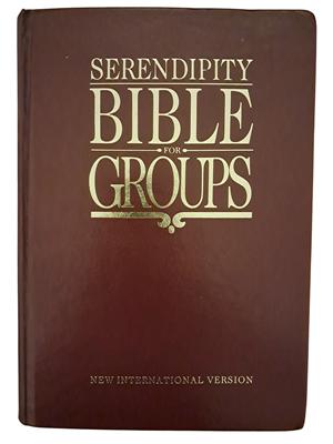 Serendipity Bible for Groups