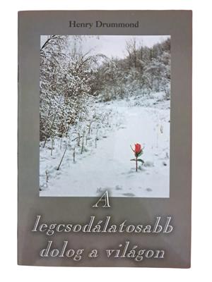 A legcsodálatosabb dolog a világon