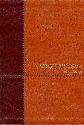 Biblia De Estudio Diario Vivir Nueva Edición Café
