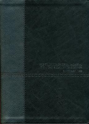 Biblia De Estudio Diario Vivir RVR 1690 Negro Nueva Edición