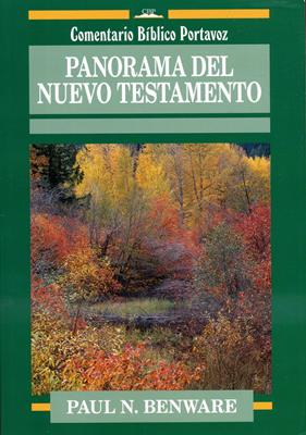 Panorama del nuevo testamento