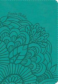 Biblia RVR60 Compacta