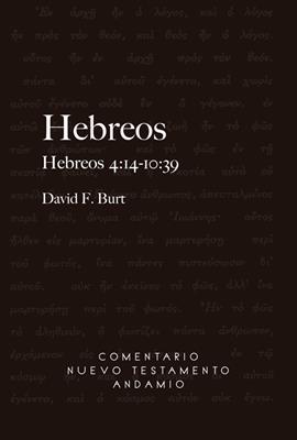 Comentario Nuevo Testamento Andamio