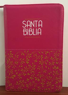 Biblia RVR65 LG PJR Fucsia C- Fucsia