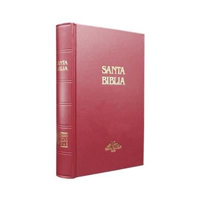 Biblia RVR1909 Tapa Dura Tamaño53 Vino