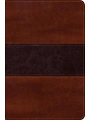 Biblia Del Pescador RVR60-Letra Grande-Caoba
