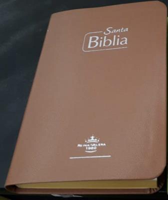 Biblia RVR Tamaño 065e Café Canto Amarillo