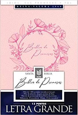 Biblia De Promesas-RVR60