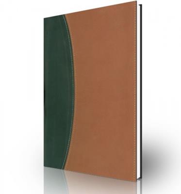 Biblia de referencia Thompson RVR60, dos tonos, negro/marron