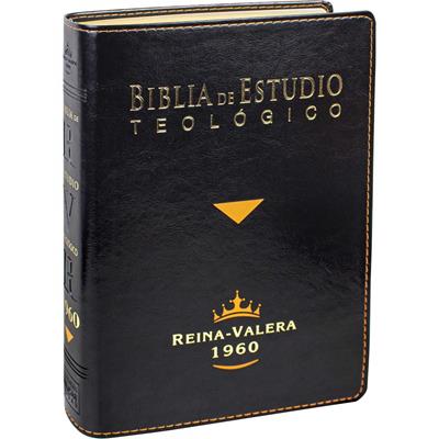 Biblia De Estudio Teologico