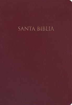 Biblia NVI Regalos Y Premios