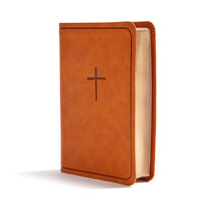 Biblia KJV/On-the-Go Bible/Ingles