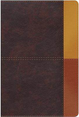 Biblia De Estudio/RVR60/Arcoiris/Cocoa-Terracota/Semil-Piel/Nueva