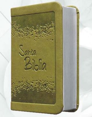 Biblia/RVR015/Verde/ Canto Plateado Sin Cierre