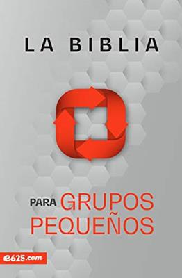 Biblia Para Grupos Pequeños NBV Rustica