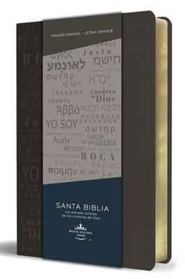 Biblia RVR 1960 Letra Grande