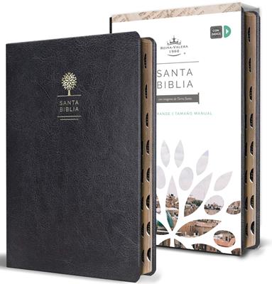 Biblia Reina Valera 1960 letra grande