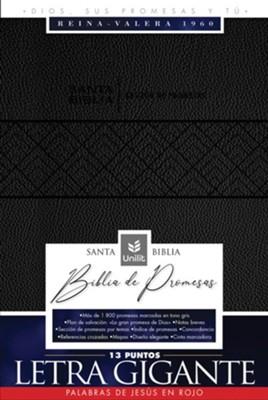 Santa Biblia de Promesas Reina Valera 1960