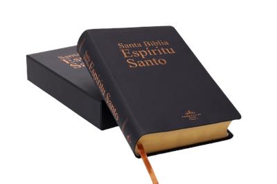 Biblia RV1960 Espíritu Santo/ Negro Imitación Piel