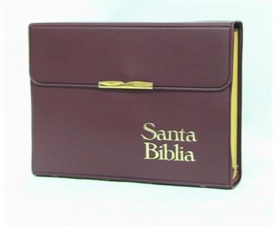 Biblia broche concordancia