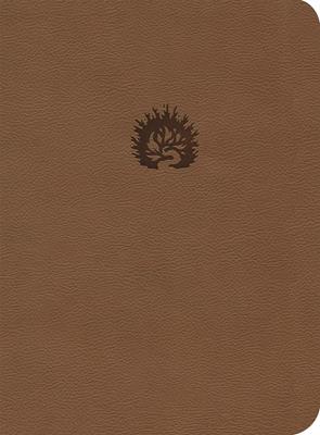 Biblia de Estudio de la Reforma /Café claro