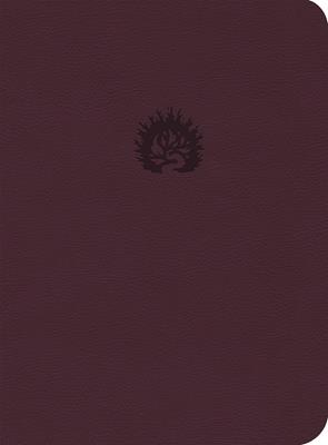 Biblia de Estudio de la Reforma /Ciruela