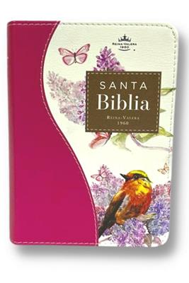 Biblia RVR60 025c CP PJR Renovación  Fucsia