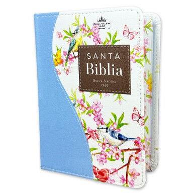 Biblia RVR60 025c CP PJR Renovación Turquesa Azul