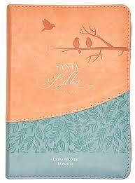 Biblia RVR60/045czti/LGi/PJR/Rosa/Azul Pájaros
